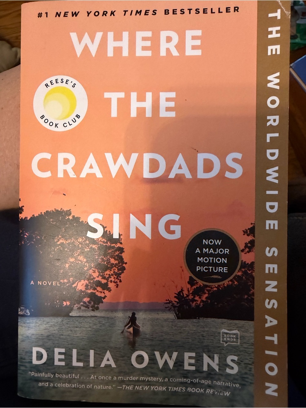 Where the Crawdads Sing Paperback